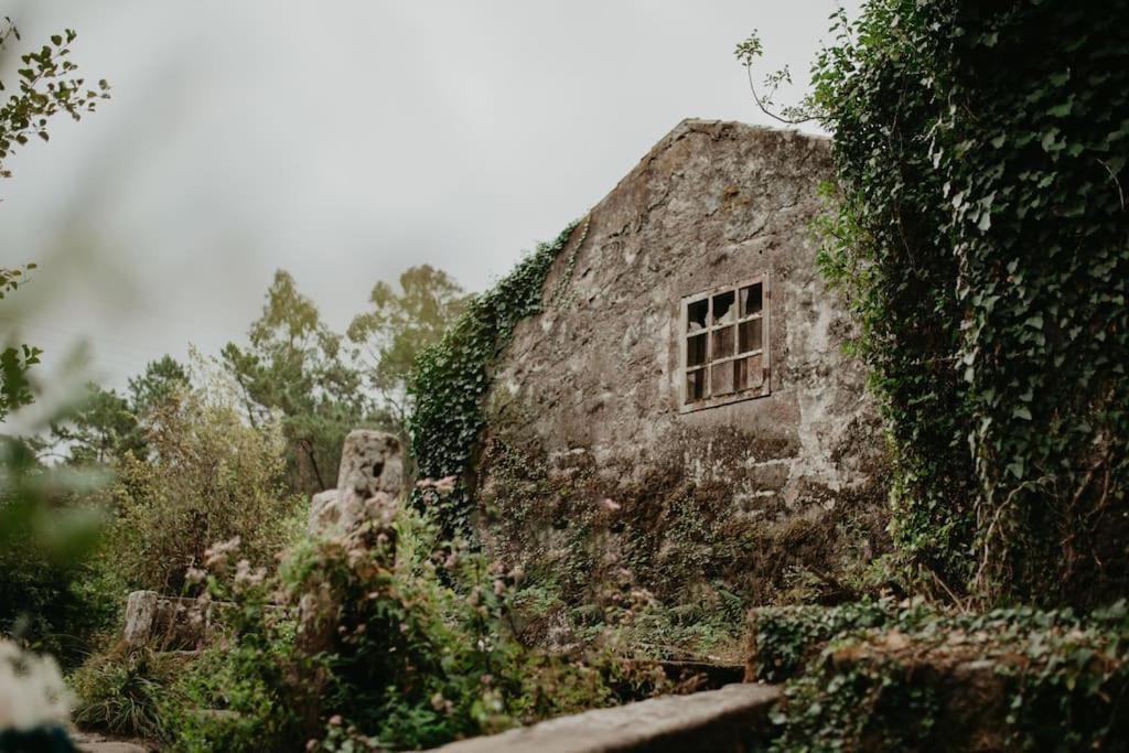 Antas Villa Family Esposende Eksteriør bilde